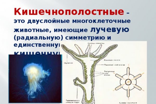 Зеркало блэкспрут bs2tor nl