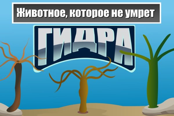 Ссылка на блэкспрут в тор torbazah