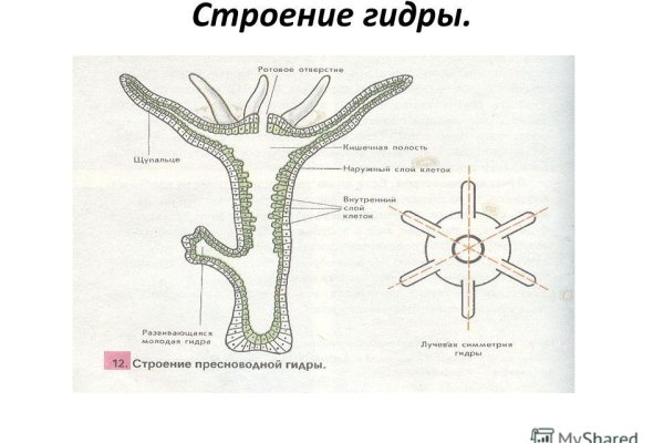 Ор blacksprut blacksprut cam