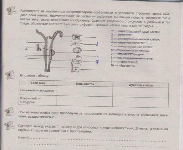 Блэк спрут ссылка bs2webes net