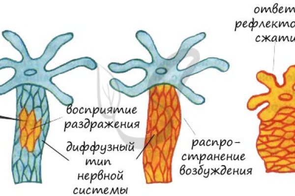 Как зайти на blacksprut blacksprut click